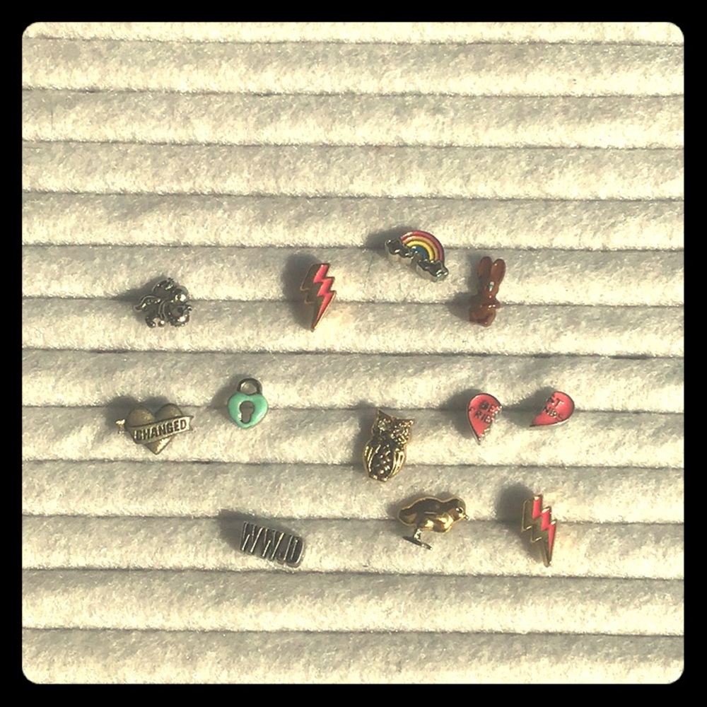 Lot of Charms - (#3)